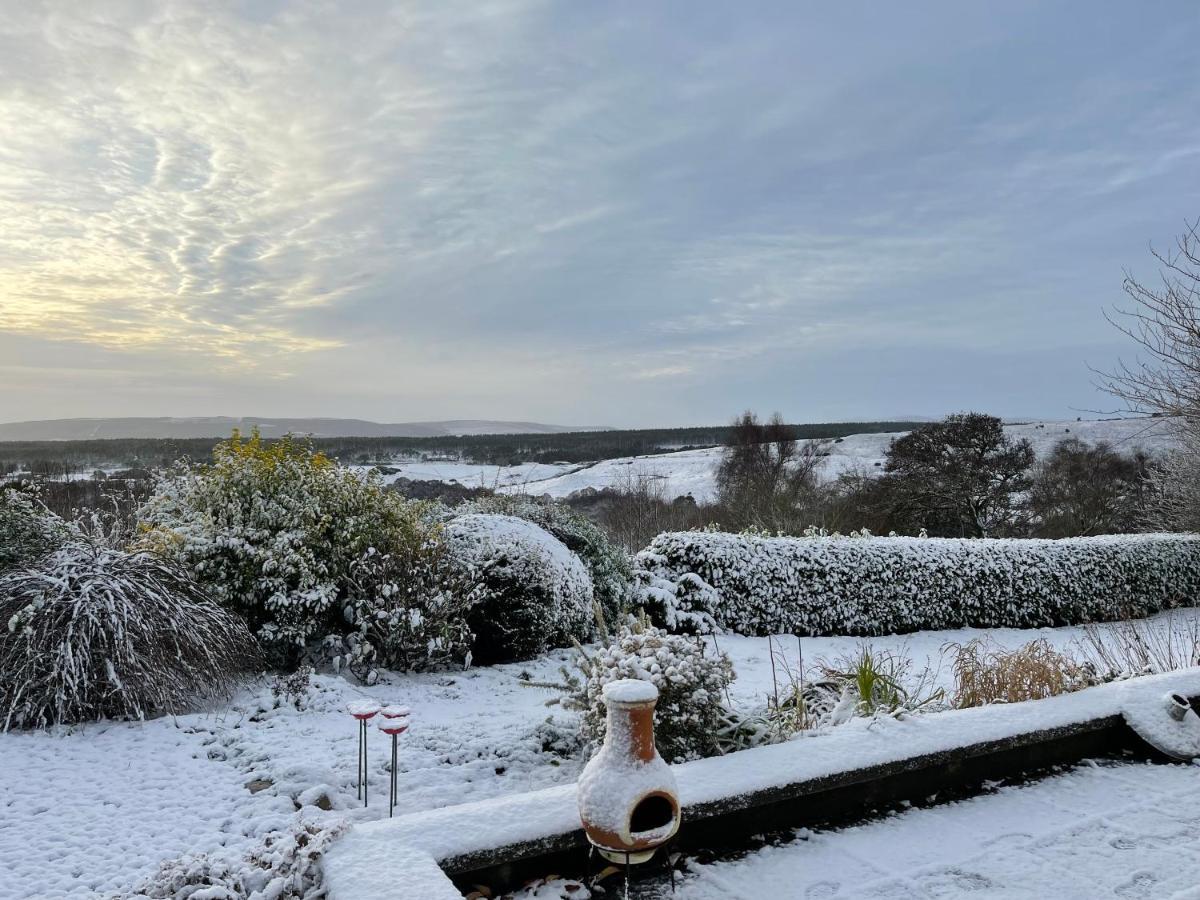 Craggan Apartment Dornoch Bagian luar foto
